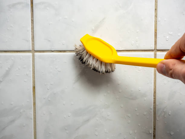 Best Affordable Mold Removal  in Han, GA