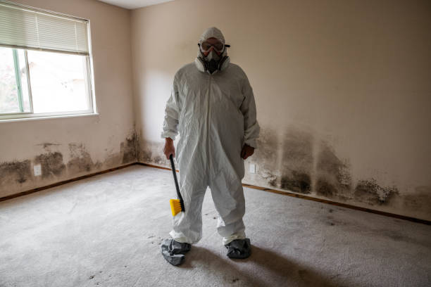 Best Toxic Mold Removal  in Han, GA